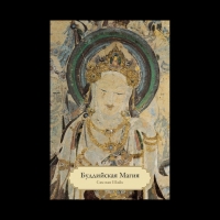 Купить  книгу Буддийская магия Сэм ван Шайк в интернет-магазине Роза Мира