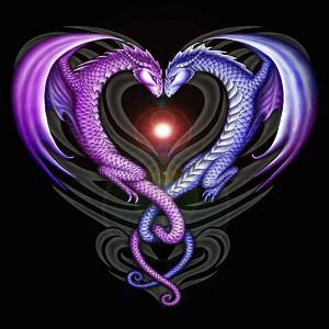 Купить Драконы Любовь в интернет-магазине Роза Мира