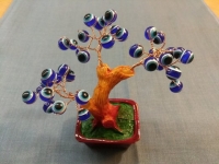 Денежное дерево с глазками Фатимы. 