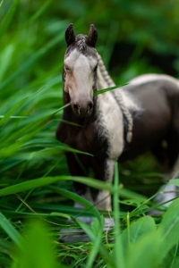 Конь ТИТАН. Авторская скульптура. 